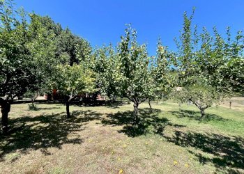 Foto 31 - Villa del Sorbo, Campagnano di Roma - foto 31