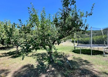 giardino - Villa del Sorbo, Campagnano di Roma - foto 32