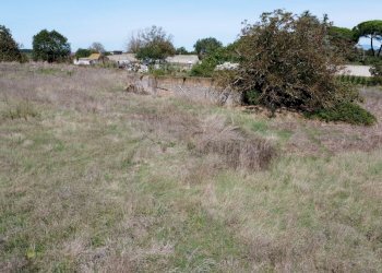 giardino - Rustic Monte San Pietro
 
2, Mazzano Romano - photo 3