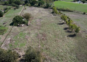 giardino - Rustic Monte San Pietro
 
2, Mazzano Romano - photo 5