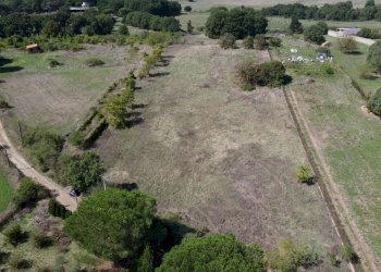 giardino - Rustic Monte San Pietro
 
2, Mazzano Romano - photo 6