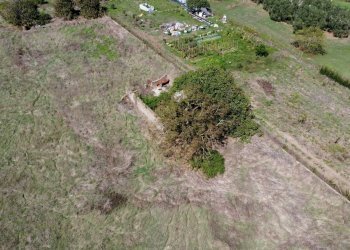 giardino - Rustic Monte San Pietro
 
2, Mazzano Romano - photo 9