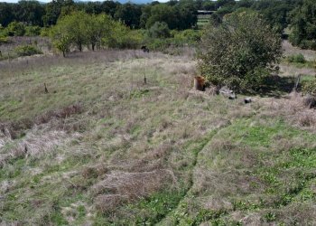 giardino - Rustic Monte San Pietro
 
2, Mazzano Romano - photo 11
