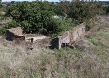 giardino - Rustic Monte San Pietro
 
2, Mazzano Romano - photo 14
