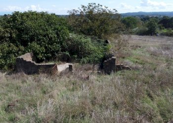 giardino - Rustic Monte San Pietro
 
2, Mazzano Romano - photo 16