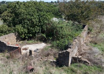 giardino - Rustic Monte San Pietro
 
2, Mazzano Romano - photo 17