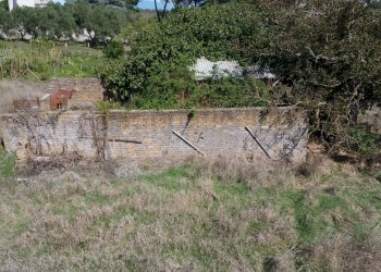 giardino - Rustic Monte San Pietro
 
2, Mazzano Romano - photo 18