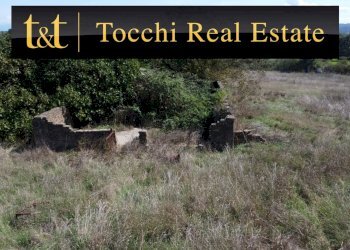 giardino - Rustic Monte San Pietro
 
2, Mazzano Romano - photo 19