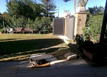 Giardino - Villa via Belvedere, 22, Anzio - foto 7