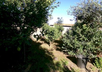 Giardino - Villa via Belvedere, 22, Anzio - foto 9