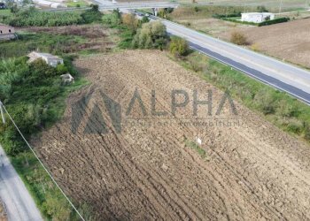 Terreno - Rustic via Aida Ricci, Bellaria-Igea Marina - photo 7