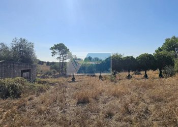 Terreno edificabile Avola - foto 4