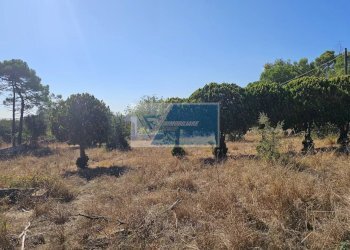 Terreno edificabile Avola - foto 8