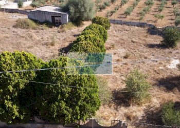 Terreno edificabile Avola - foto 25