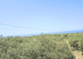 Terratetto - Terracielo Messina - foto 2