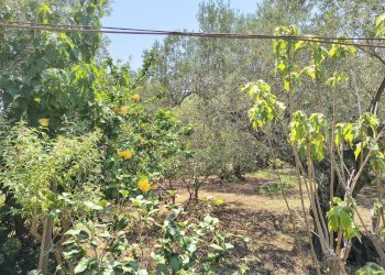 Terratetto - Terracielo Messina - foto 4