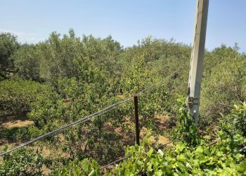 Terratetto - Terracielo Messina - foto 6