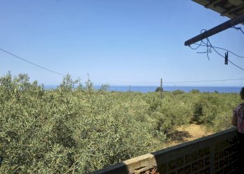 Terratetto - Terracielo Messina - foto 11