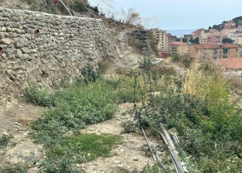 Terreno agricolo Via Monsignor Nicolò Peitavino, Ventimiglia - foto 3
