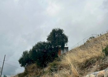 Terreno agricolo Via Monsignor Nicolò Peitavino, Ventimiglia - foto 5