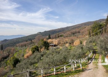 Casale Località Querceto, 2, Loro Ciuffenna - photo 37