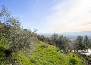 Casale Località Querceto, 2, Loro Ciuffenna - photo 41