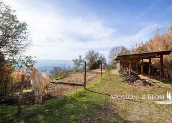 Casale Località Querceto, 2, Loro Ciuffenna - photo 45
