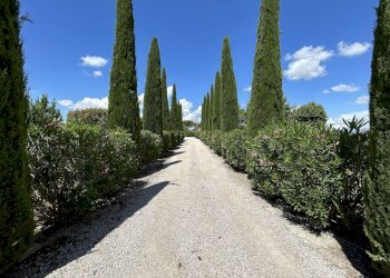 Quadrilocale Case Sparse, 18, Cortona - foto 32