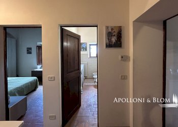 Four-room apartment Case Sparse, 18, Cortona - photo 39