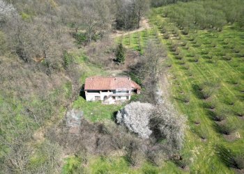 Casa indipendente Via Narzole, Salmour - foto 1