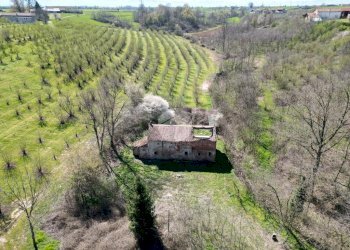 Casa indipendente Via Narzole, Salmour - foto 4