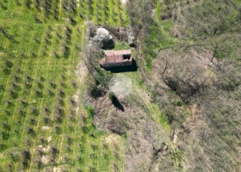 Casa indipendente Via Narzole, Salmour - foto 20