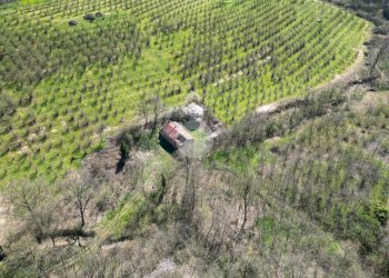 Casa indipendente Via Narzole, Salmour - foto 22