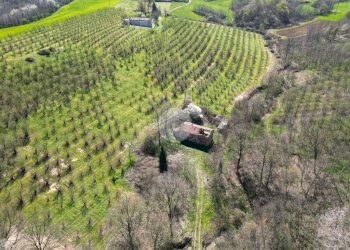 Casa indipendente Via Narzole, Salmour - foto 23