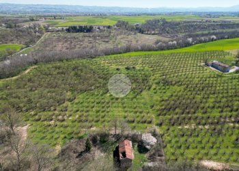 Casa indipendente Via Narzole, Salmour - foto 24