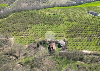 Casa indipendente Via Narzole, Salmour - foto 25