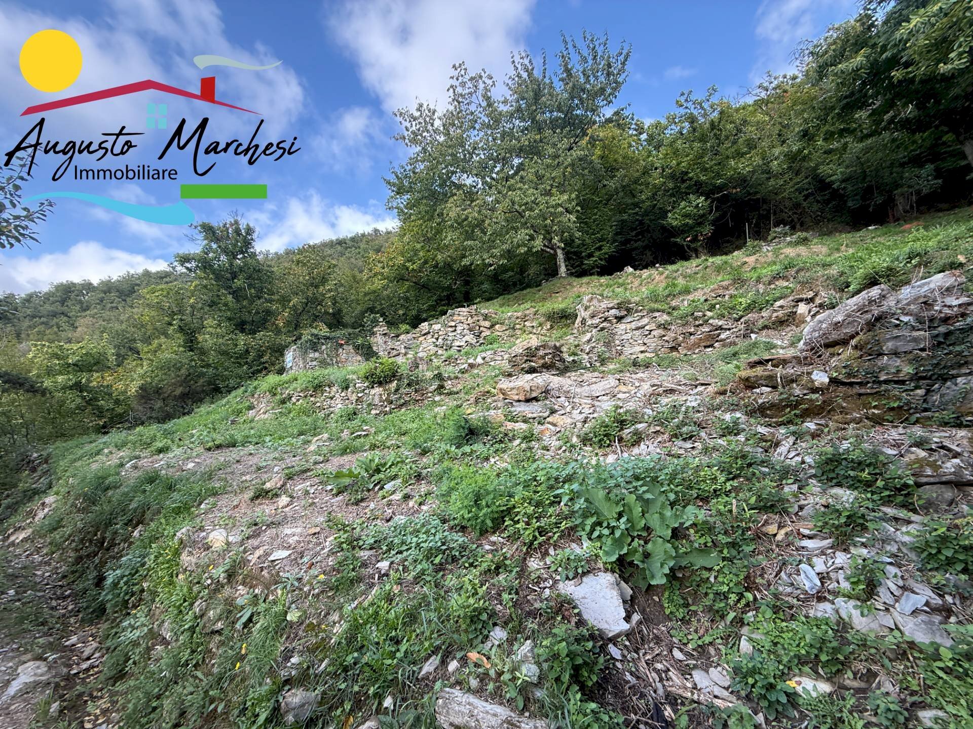 Foto 2 - Building land Avegno - photo 2