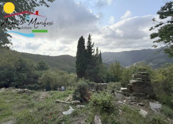 Foto 13 - Terreno edificabile Avegno - foto 13