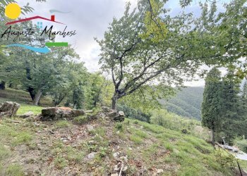 Foto 16 - Terreno edificabile Avegno - foto 16