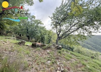 Foto 17 - Terreno edificabile Avegno - foto 17