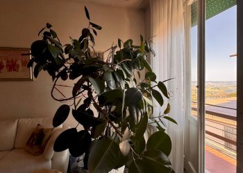 Foto 3 - Quadrilocale Via Carlo Alberto
 
2, Montegranaro - foto 3