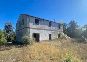 Foto 9 - Rustico Contrada Petrella / Sant'Egidio
 
snc, Ripatransone - foto 9