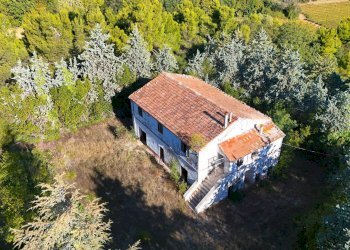 Foto 12 - Rustico Contrada Petrella / Sant'Egidio
 
snc, Ripatransone - foto 12