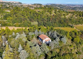 Foto 21 - Rustico Contrada Petrella / Sant'Egidio
 
snc, Ripatransone - foto 21