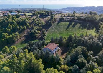 Foto 34 - Rustico Contrada Petrella / Sant'Egidio
 
snc, Ripatransone - foto 34