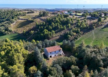 Foto 35 - Rustico Contrada Petrella / Sant'Egidio
 
snc, Ripatransone - foto 35