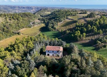 Foto 36 - Rustico Contrada Petrella / Sant'Egidio
 
snc, Ripatransone - foto 36