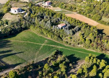 Foto 41 - Rustico Contrada Petrella / Sant'Egidio
 
snc, Ripatransone - foto 41