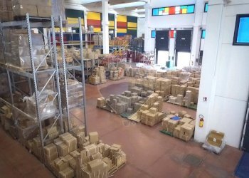 Dispensa di stoccaggio - Capannone Teverola - foto 7