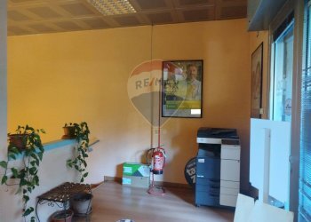 Soggiorno - Ufficio Via De Nicola
 
8, San Giuliano Milanese - foto 6